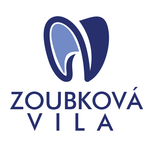 logo-vila.png